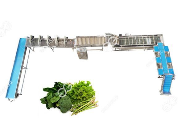 CE Certified Stainless Steel Automatic Leafy Vegetable Washing Line Vegetable