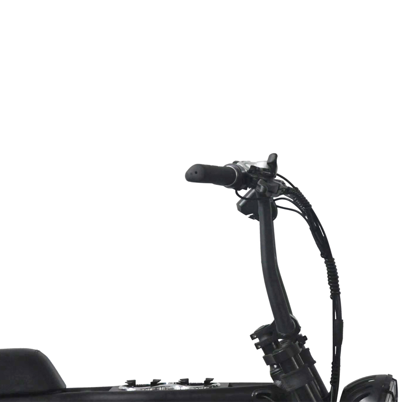 1000W Dual Battery Step Through Electric Retro Motorcycle Fat Bike with 80-90 Nm Torque