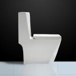 Dual Flush Floor Mounted Wc With P Trap Diamond Shape Washdown