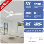 White Energy Saving DC Motor Bedroom Low Profile Ceiling Fan With Light