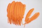 Party Decoration Colored Turkey Feathers Event Supplies 10-12 inch