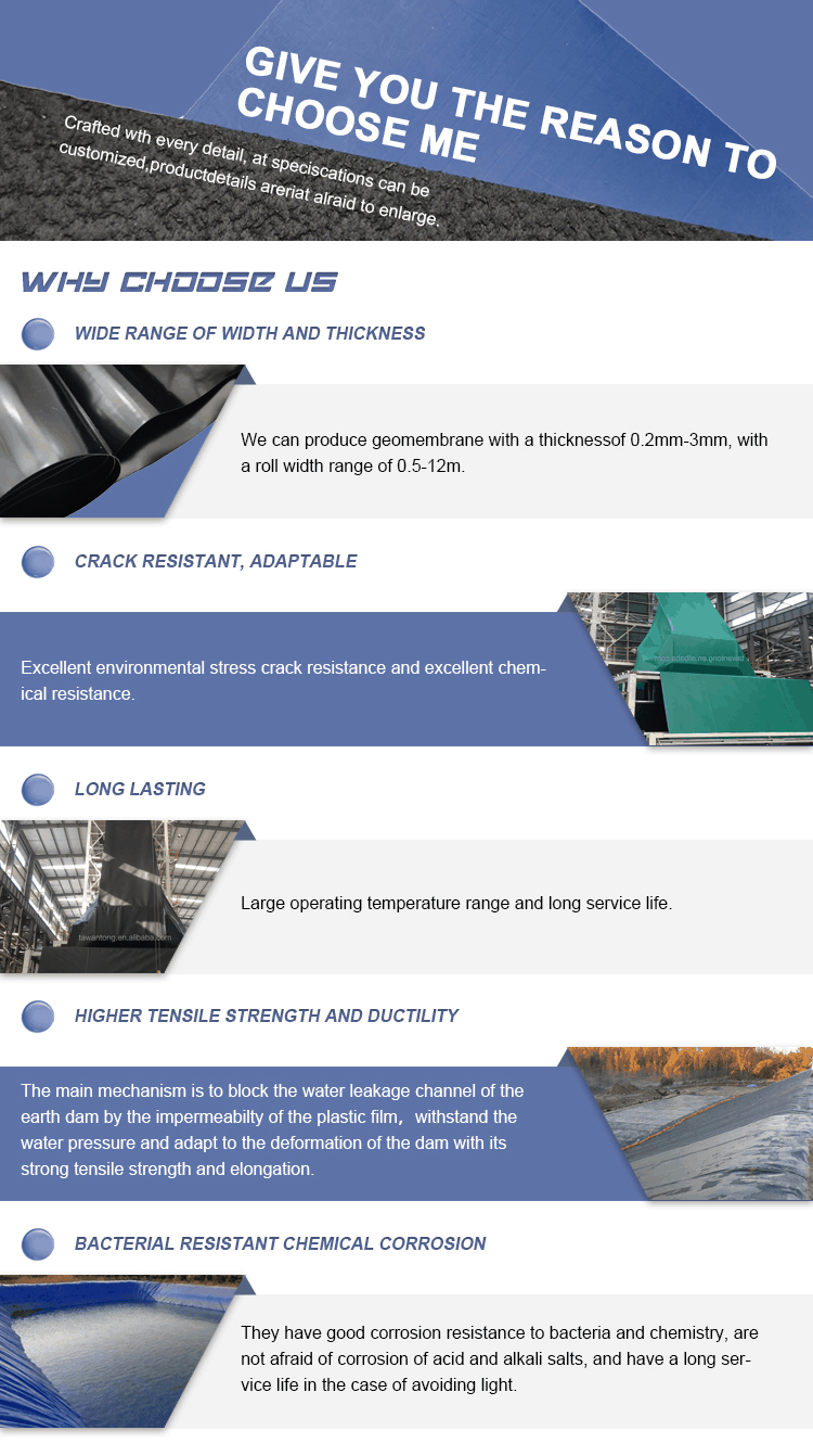 Waterproof Protection Geomembranes for Agriculture 0.2mm HDPE Roof Swimming Pool Liner