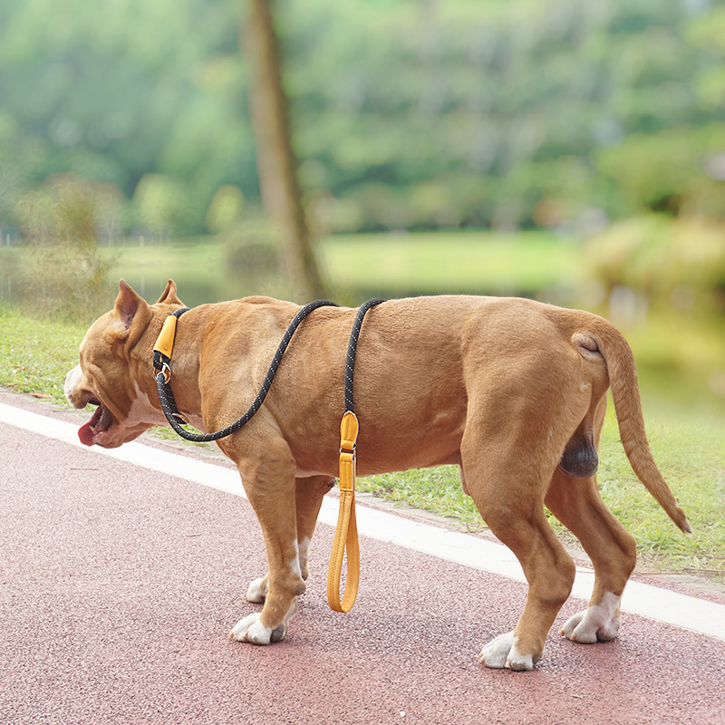 Quick Release Military Dog Lead ODM Tactical Retractable Dog Leash Nylon