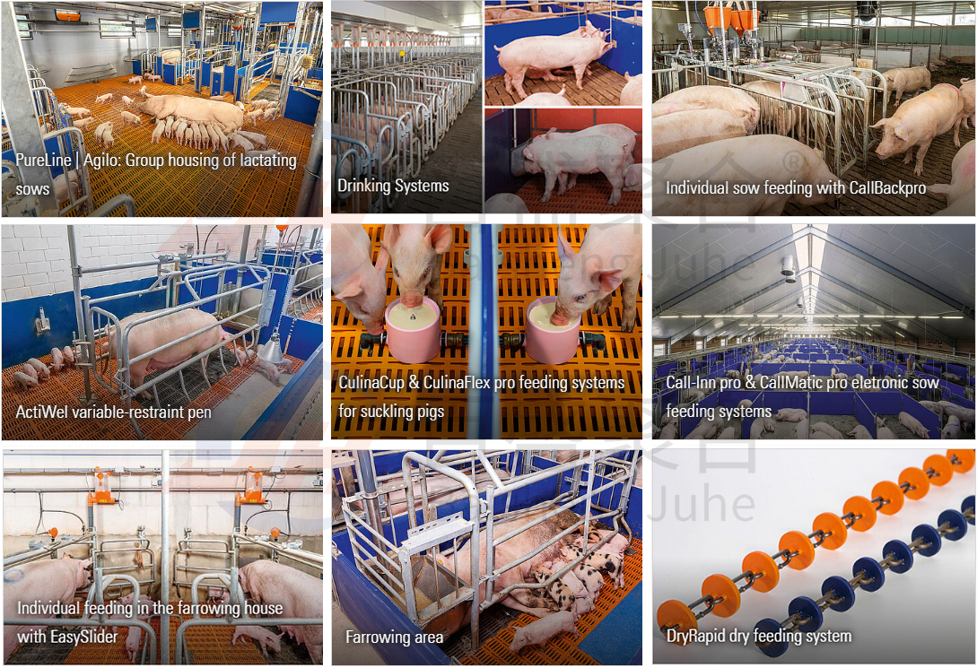 ISO9001 2008/CE/BV Certified Pig Farming Business Plan for Customized Cages and Pen