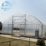 Philippines Prefabricated Kit single-span Strawberry Greenhouse Tunnel Plastic