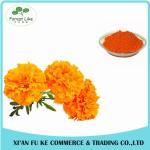 Eye Health Product Marigold Powder Extract Lutein 5 % - 20 %