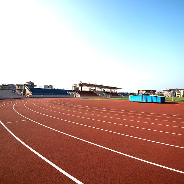 Park Synthetic Sports Flooring 13mm Eco Color Customized