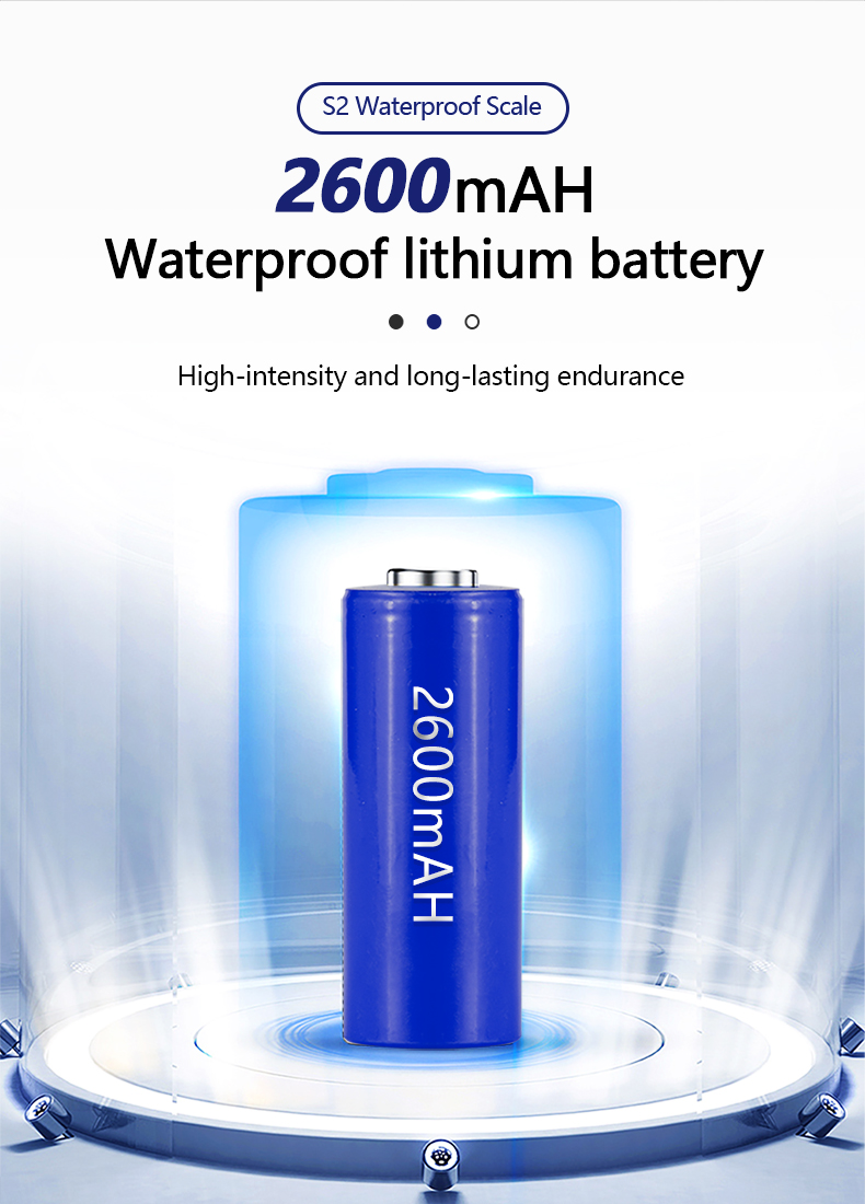 430 Stainless Steel Plate S2 Waterproof Electronic Small Scale with IP68 Protection Level
