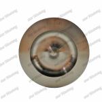 Piston With Pin 3116 1077545 2382716