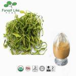 Superior Quality Featured Product 5%-98%Chlorogenic Acid Honeysuckle Flower