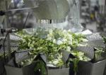 Weighing Snack Granular Packing Machine , Potato Chips Packing Machine