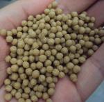 Siemens CHNT Dog Pet Food Processing Equipment Machinery 500kg/H