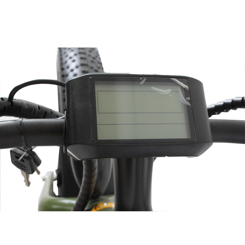 DOMANCA 2024 Vintage Off-road E Bike with Max Speed of 30-50Km/h and Range of 31-60 km