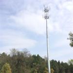 Telescopic Microwave Antenna Mobile Cell Phone Tower with Powder Coating