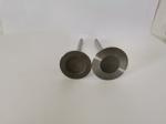 GM VECTRA Automotive Engine Inlet Valves , Car Diesel Engine Parts