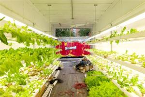 Quality Hydroponic Farming Prefab Container Homes Light Steel Frame Modular Home wholesale