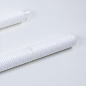 Quality Pharmaceutical Water Prefiltration 0.45μM 20&quot; PES Membrane Filter Cartridge wholesale