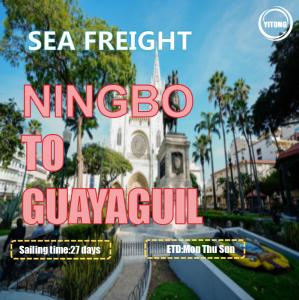 Quality CIF CNF Worldwide Sea Freight Services Ningbo To Guayaguil Ecuador South America wholesale