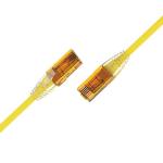 UTP RJ45 Cat5e Cat6 Cat7 SFTP Fiber Network Cable HDPE