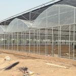 Hot-dipped Galvanized Frame Multi-span Agricultural Film Greenhouse