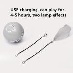 ABS Material Best Automated Cat Toys Electric Eco Friendly