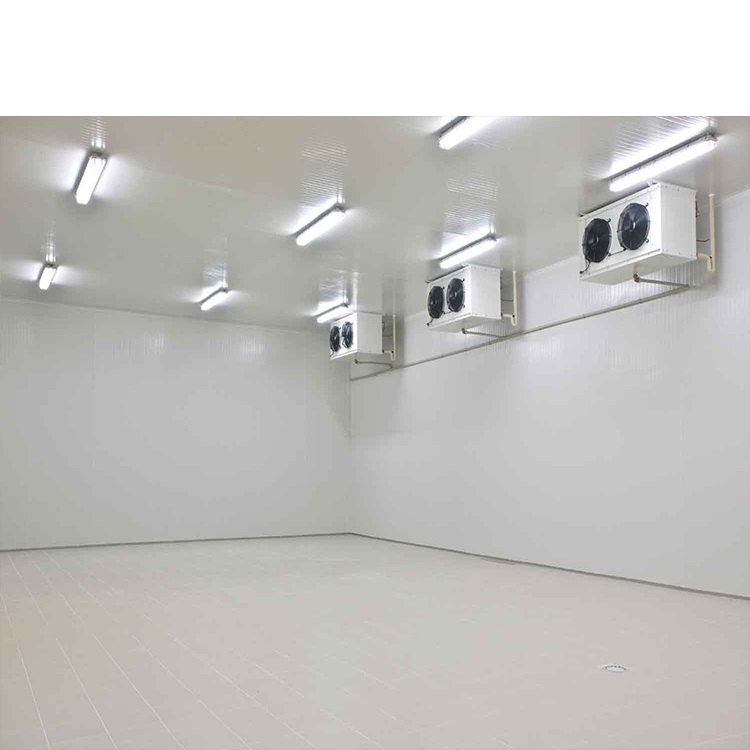 Walk In Cold Room Storage With Electricity Refrigeration Equipment