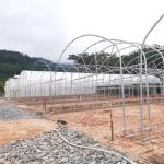 Galvanized Pipe Frame Tunnel Greenhouse With Optimal Insulation
