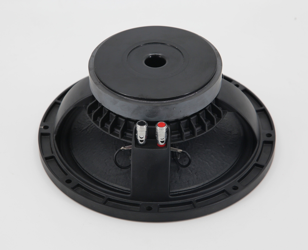 55Hz 10 Inch 2 Way Full Range Speaker For Club KTV