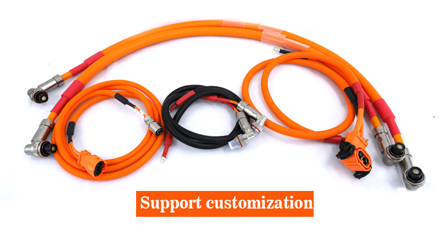 CTS Industrial Wiring Harness for Motorcycle Auto Electric Vehicle High Voltage Power Cable