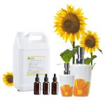 Shampoo Body Wash Fragrances Floral Fragrance Oil Shampoo For Body Wash