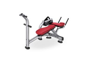 Quality Commercial Gym Rack And Bench , Body Building Abdominal Crunch Machines wholesale