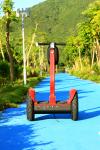 Segway Balance Electric Scooter Two Wheel Smart CE FCC ROHS Approval