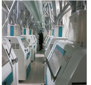 Quality High Precision Automatic Noodle Making Machine Low Energy / Labor Consumption wholesale