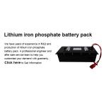 OEM 100ah 24V Lithium Iron Phosphate Battery Chargeable For Electric Folklifts