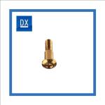 Grade 8.8 10.9 12.9 High strength Gold PVD Coating Titanium bolts for boats