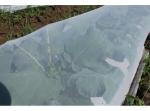 Vegetable Anti-insect Nets for Sale
