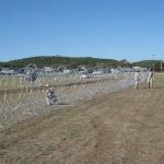 Mobile Razor Wire Barrier Trailer Security BTO -22 Concertina Razor Barbed Wire