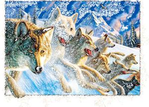 Quality PET Plastic Material 5D Lenticular Image Frosted / Matte Finish wholesale