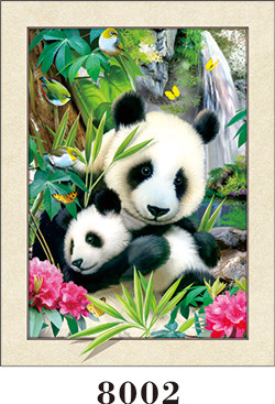 High Definition 3D Image 5D Pictures Lenticular Printing Services For Home Decoration
