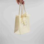 FSC 250gsm Cosmetics Perfume Shopping Printed Paper Gift Bags With Ribbon