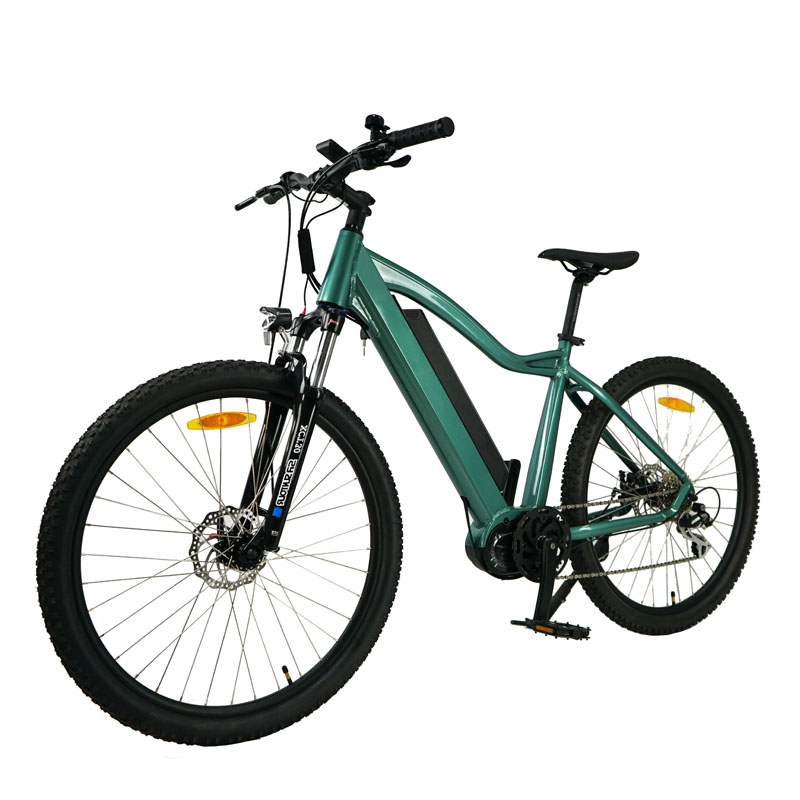 36V 9.6Ah Removable Battery 750W Brushless Motor 8 Speed Fat Tire E Bike for Adults