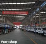 40*80mm Girder Petrol 250CC Cargo Tricycle