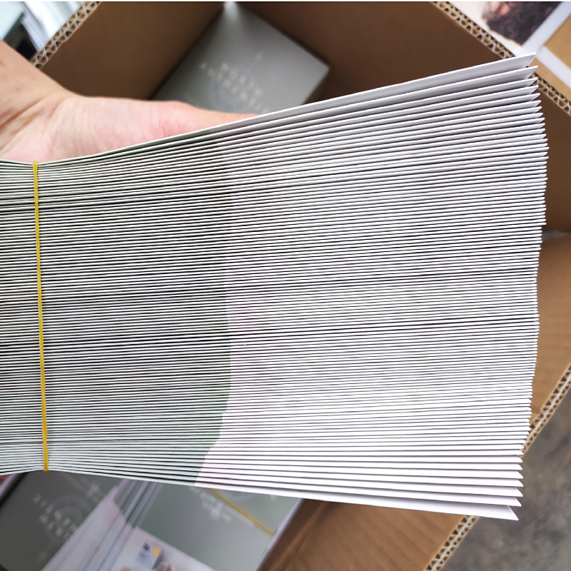 Folded Flyer Brochure Printing Services A3 A4 A5 Advertising CMYK Pantone
