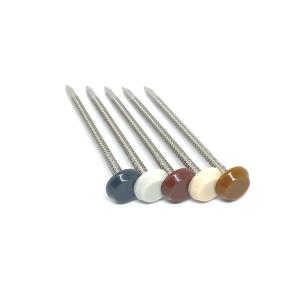 Quality 50MM 65MM Nylon PA6 Plastic Headed Nails For Profile wholesale