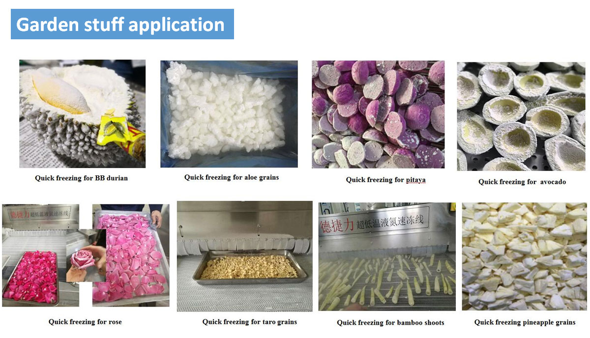 DJL Dry Ice Liquid Nitrogen Dual Use Type Iqf Freezer Machine For Shrimp
