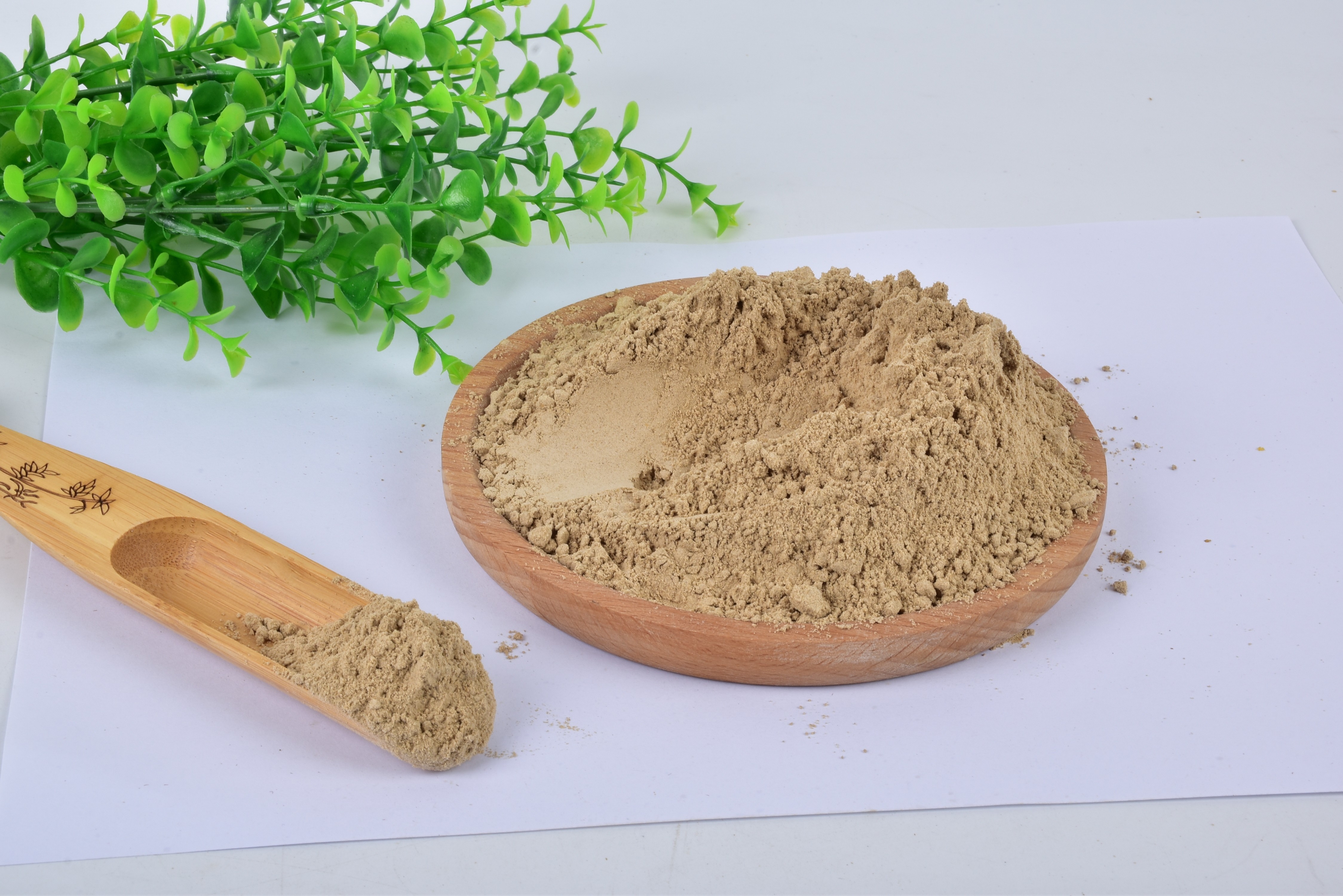 Moisture Controlled Mealworm Protein Powder with Dried Mealworm
