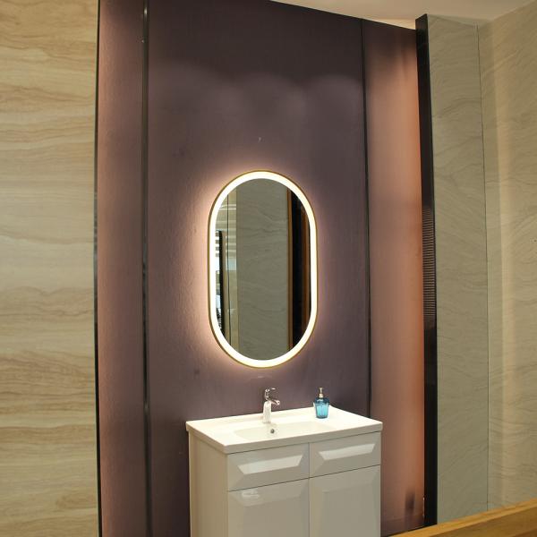 Stainless Steel Oval Framed Wall Mirror with LED Light Luxury Golden Color