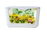 Agricultural PP 24V Home Hydroponic Growing Systems