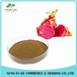 Food Addictive Dragon Fruit Powder Pitaya Extract