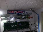 All in one Integration Solar LED Street Light